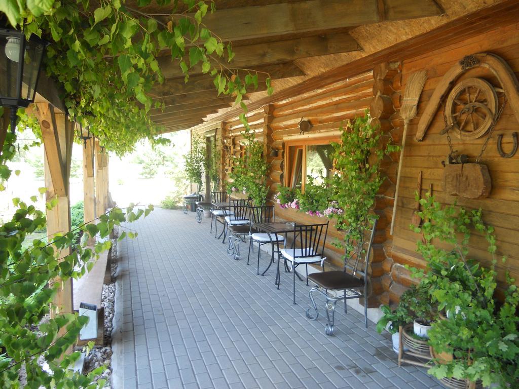 Villa Viesu Maja Forrest à Dzimtmisa Extérieur photo