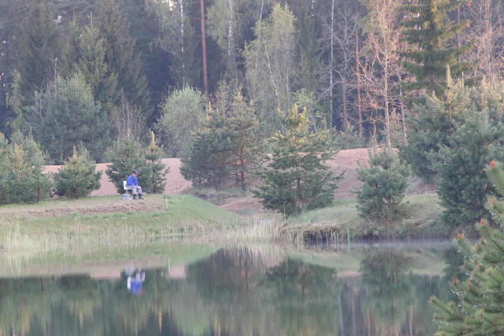 Villa Viesu Maja Forrest à Dzimtmisa Extérieur photo