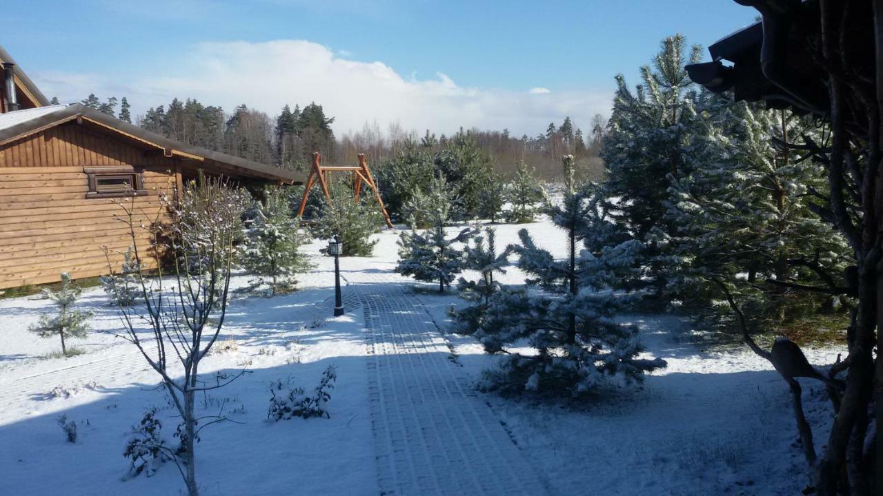 Villa Viesu Maja Forrest à Dzimtmisa Extérieur photo